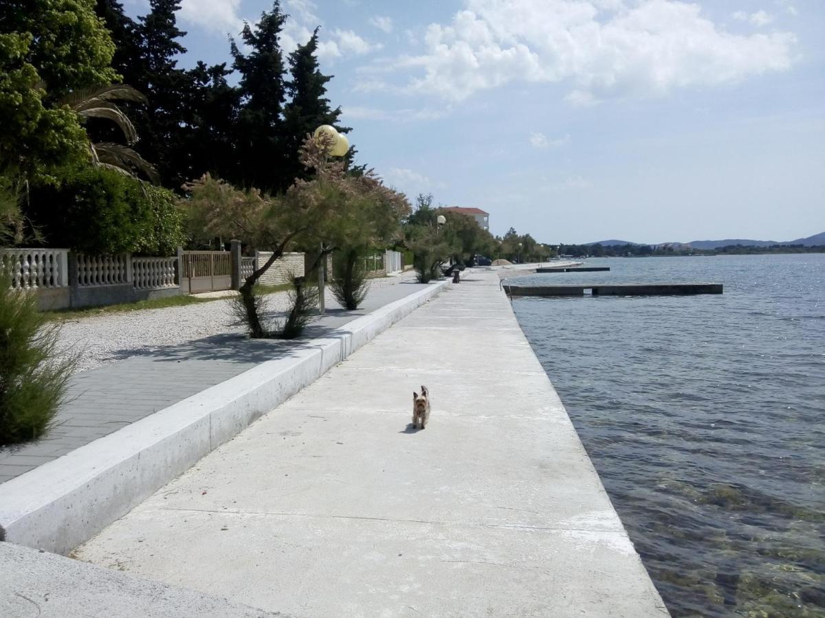 Apartments Franica Zadar Eksteriør billede